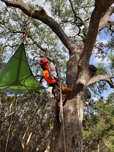 D & J Arborist Tree Services