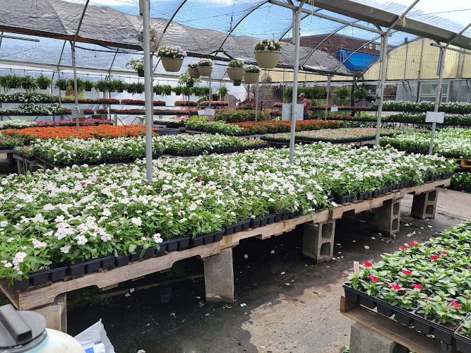 Bruce Miller Nursery