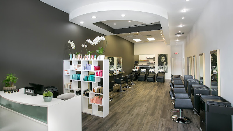 Plano Hair Salon – A La Mode Hair Studio