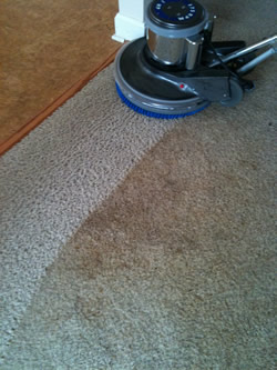 J&J carpet cleaners