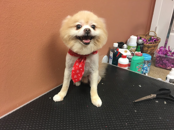 A Purr-Fect Dog Grooming & Day Care