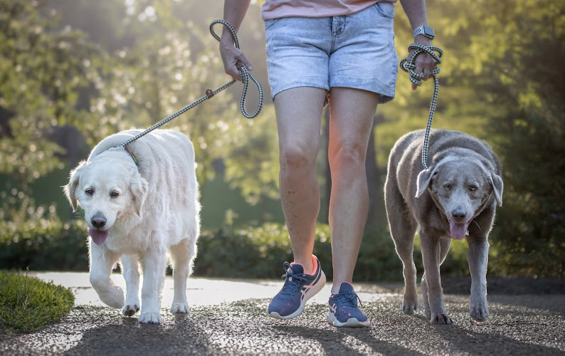 Privileged Paws Pet Care