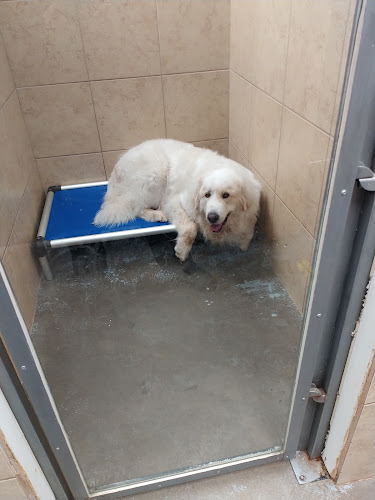 Happy Tails Dog Daycare, Boarding, Grooming