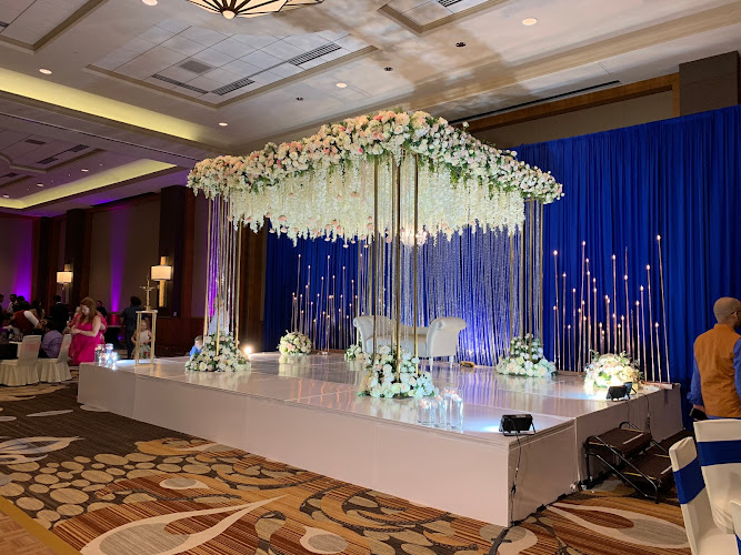 Alpha Events and Decor