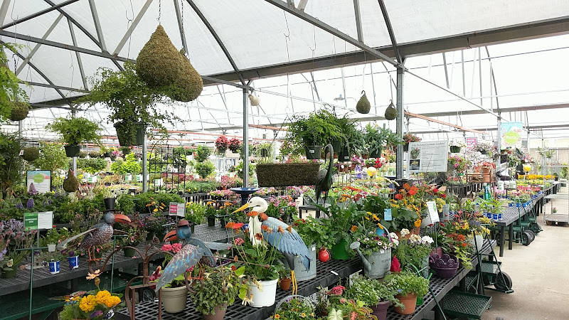 Calloway’s Nursery