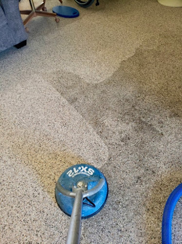 Eden’s Carpet Cleaning Professionals