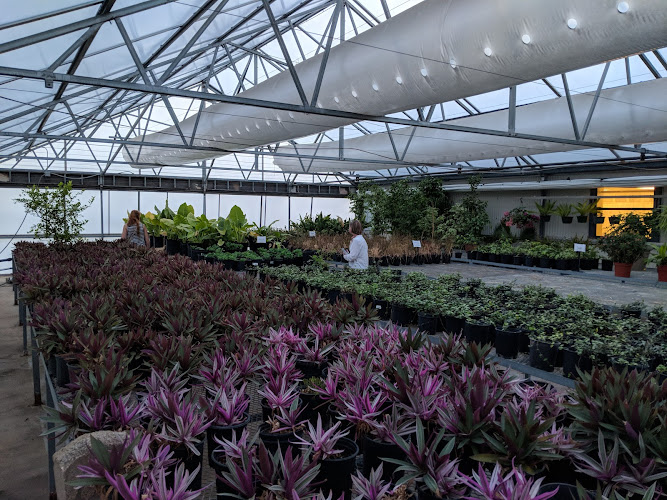 Roach Garden Center