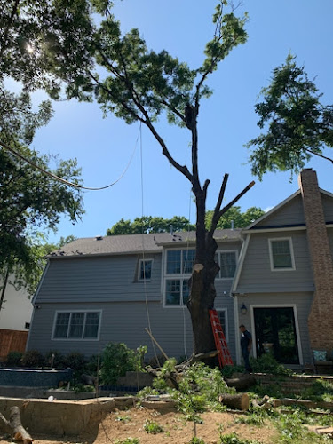 Richardson Tree Service