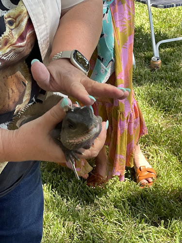 My Reptile Guys – Dallas