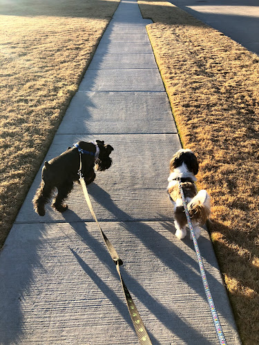 Michelle At Your Service-Pet Sitting & Dog Walking LLC
