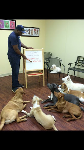 K-9 University