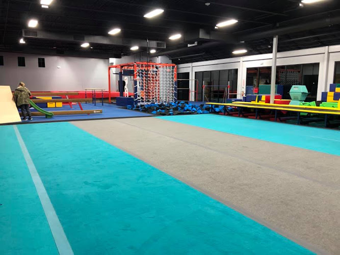 Alpha Omega Gymnastics