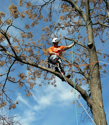 Patriot Tree Service