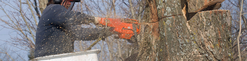 Eagle Tree Experts
