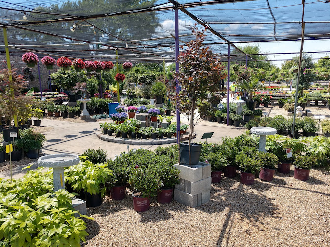Plants & Planters