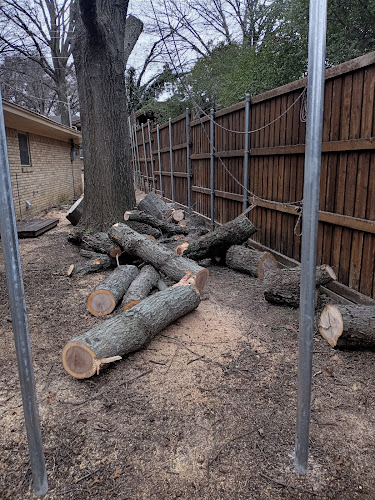 Wauson Tree Service