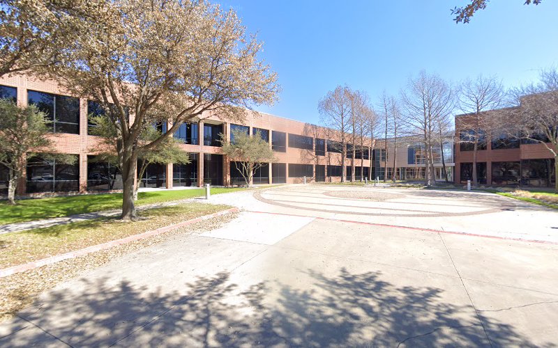 Bloom Child Psychology